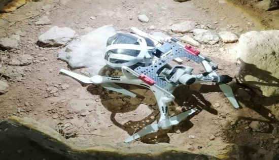 الجيش الأردني يسقط مسيرة محملة بالمخدرات قادمة من سوريا