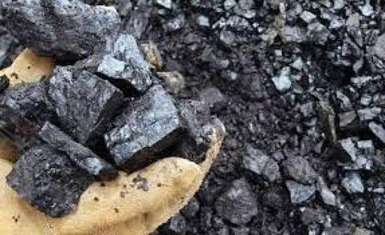 الهند تسمح لمحطات الطاقة باستيراد الفحم حتى مارس