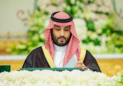 "بن سلمان" يترأس وفد السعودية في نيودلهي