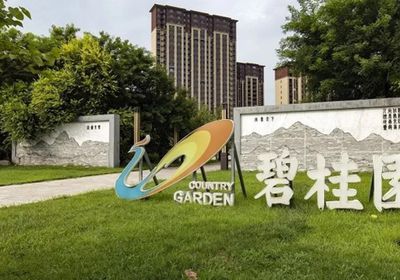 "كانتري جاردن" تدفع متأخرات الفائدة على سنداتها بالدولار