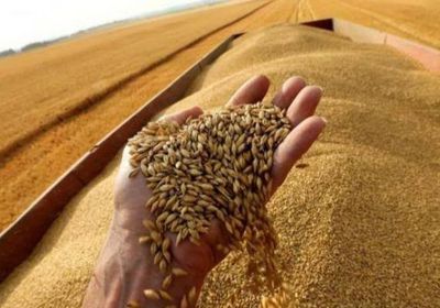 بلغاريا ترفع الحظر عن واردات الحبوب الأوكرانية