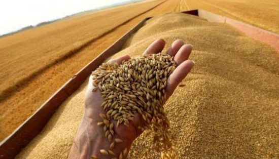 بلغاريا ترفع الحظر عن واردات الحبوب الأوكرانية