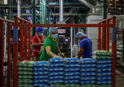 أسعار الأرز تتراجع في آسيا مع توجه ماليزيا لرفع إنتاجها