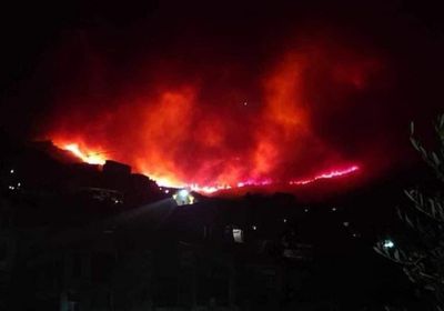 مجددًا.. اندلاع الحرائق في الغابات بالجزائر