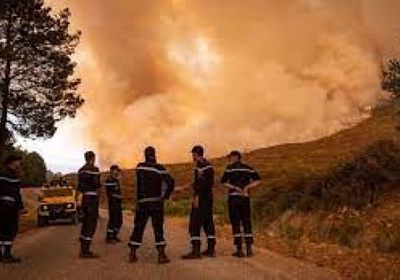 اعتقال المتسبب بحرائق الغابات في الجزائر