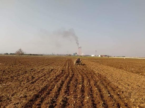 بينها الحبوب.. المجر تحظر استيراد 24 منتجا من أوكرانيا