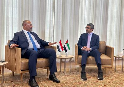 الرئيس الزُبيدي ووزير خارجية الإمارات يدعوان لسلام عادل
