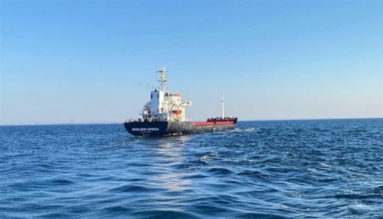 وصول سفينة محملة بالحبوب الأوكرانية إلى تركيا
