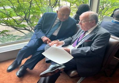 وزير الخارجية المصري يلتقي نظيره البرازيلي في نيويورك