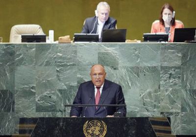 وزير الخارجية المصري: إثيوبيا تمادت في ملف سد النهضة