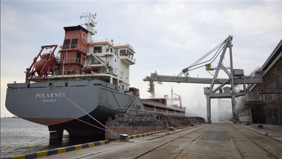 وصول سفينة قمح أوكراني إلى إسطنبول عبر البحر الأسود