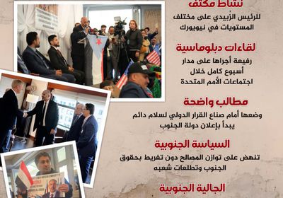 الرئيس الزُبيدي.. مُخطط دبلوماسية الجنوب (إنفوجراف)