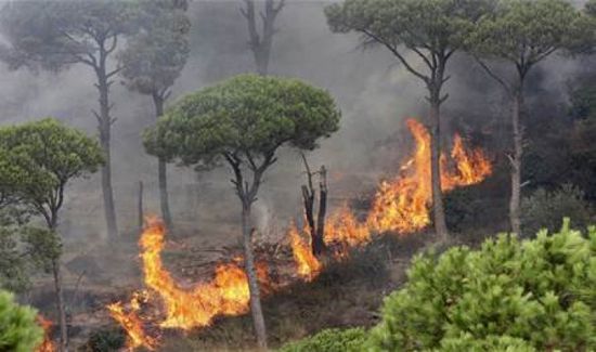 لليوم الثاني على التوالي.. لبنان يواجه الحرائق المتنقلة
