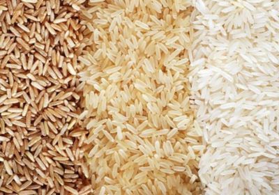 الهند تعتزم تخفيض الحد الأدنى لسعر تصدير الأرز البسمتي