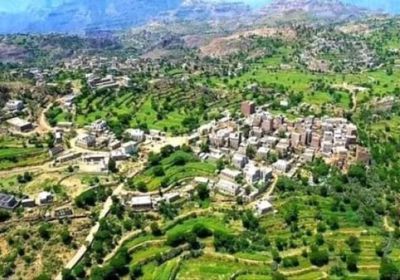 مسلح يقتل مواطنا في جحاف بالضالع