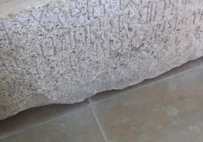 يوم اللغة المهرية.. "الانتقالي" يحفظ التنوع الثقافي الجنوبي