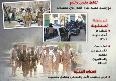 ميزان العدل.. الجنوب يؤمن أرضه (إنفوجراف)