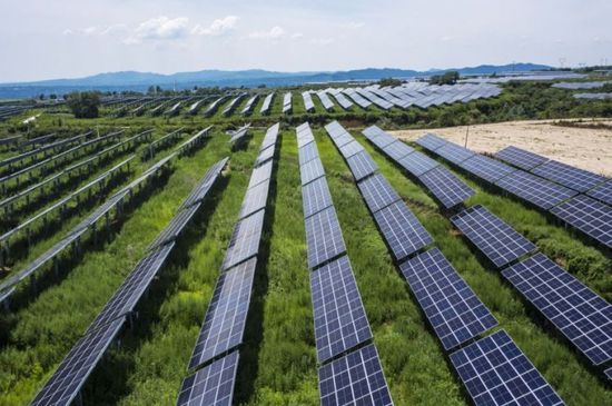 شركات الطاقة الشمسية الأوربية تحذر من تقيد واردات الألواح