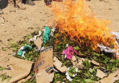 محظور بيعه بالأرخبيل.. إتلاف كمية من القات في سقطرى