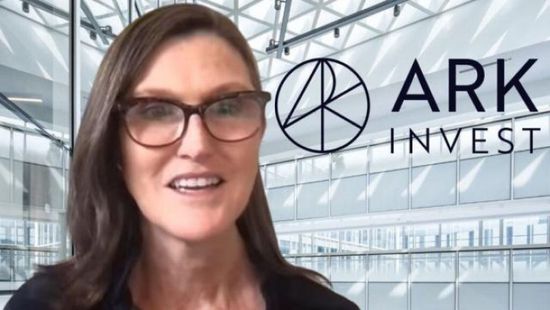 "آرك إنفست" تقلص حصتها في تسلا بقيمة 25 مليون دولار
