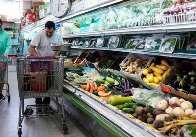 استقرار أسعار الغذاء العالمية في سبتمبر رغم ارتفاع السكر والذرة