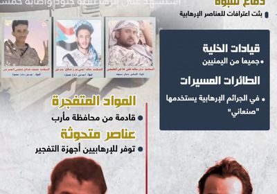 اعترافات الإرهابيين.. استهداف الجنوب ممنهج (إنفوجراف)