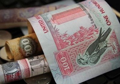 الإمارات: اعتماد الميزانية الاتحادية بـ 192 مليار درهم