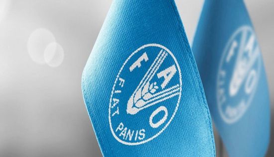 "فاو" تستبعد انعكاس اضطرابات الشرق الأوسط على أسعار الغذاء