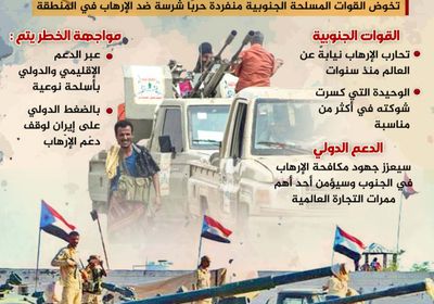 الدعم الدولي للقوات الجنوبية.. ضرورة عاجلة (إنفوجراف)