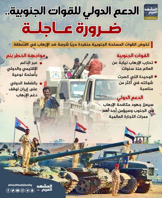 الدعم الدولي للقوات الجنوبية.. ضرورة عاجلة (إنفوجراف)