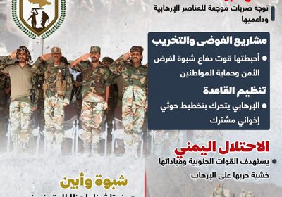 سهام الجنوب تدحر الإرهاب (إنفوجراف)