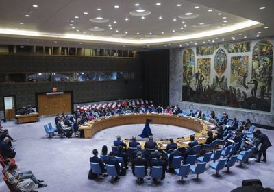البرازيل تدعو لاجتماع لمجلس الأمن الدولي