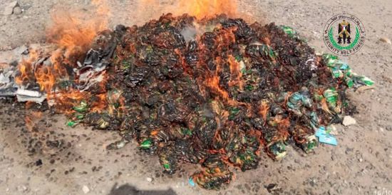 حزام لحج يتلف كمية مهربة من شمة الحوت