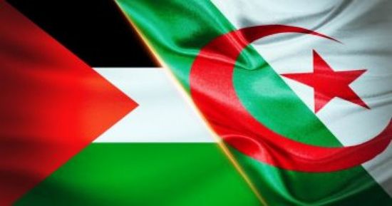 تضامنا مع فلسطين.. الاتحاد الجزائري يوقف جميع منافساته الكروية