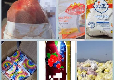 4600 كرتون.. رفض شحنتي دجاج فاسد في ميناء عدن