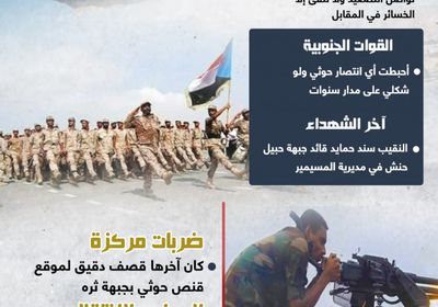 الجنوب.. جبهة منيعة (إنفوجراف)