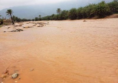 جريان سيول وطقس عاصف في سقطرى مع اقتراب "تيج"