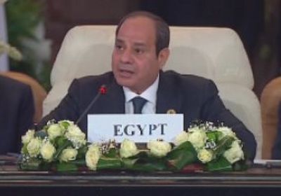السيسي: حل وحيد للقضية الفلسطينية