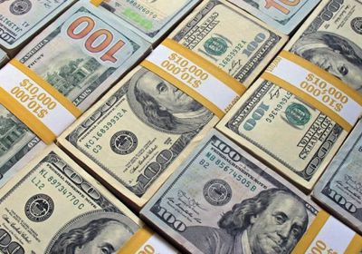 أداني يتلقى 3.5 مليار دولار من بنوك عالمية رغم مزاعم الاحتيال