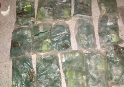 الحزام الأمني يحبط تهريب 20 كيلوجرام حشيش في موديه