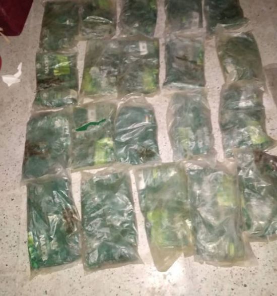 الحزام الأمني يحبط تهريب 20 كيلوجرام حشيش في موديه