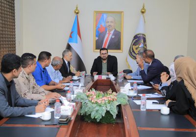 العولقي: قضية الجنوب محورية وحضورها بعملية السلام ضروري