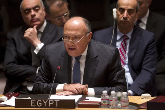 وزير الخارجية المصري: مجلس الأمن مهمته تجنب الصراع ووقف الاقتتال