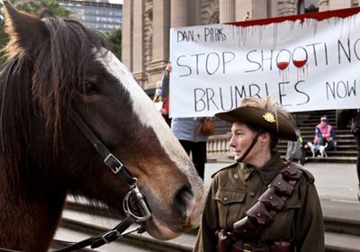 أستراليا تعاود إعدام الخيول البرية من الجو بواسطة المروحيات