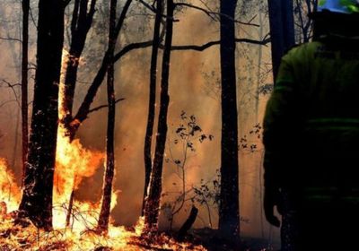 فرق الإطفاء الأسترالية تكافح حرائق الغابات