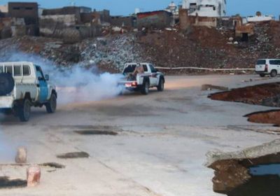 حملة رش ضبابي في الريدة وقصيعر لمكافحة البعوض