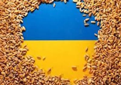 1.3 مليون طن صادرات الحبوب الأوكرانية بأغسطس