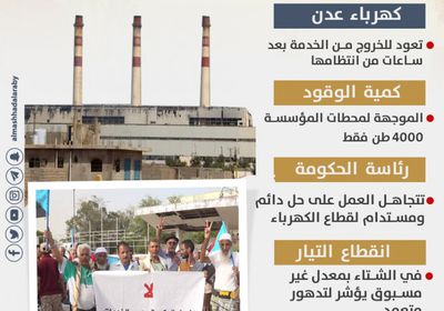 أزمة الكهرباء.. صناعة حكومية (إنفوجراف)