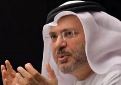 قرقاش: نواصل جهودنا في مجلس الأمن للتصدي للأزمة الإنسانية بغزة