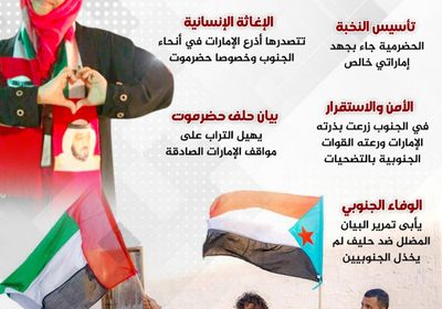 الإمارات والجنوب.. تحالف لا ينفك (إنفوجراف)